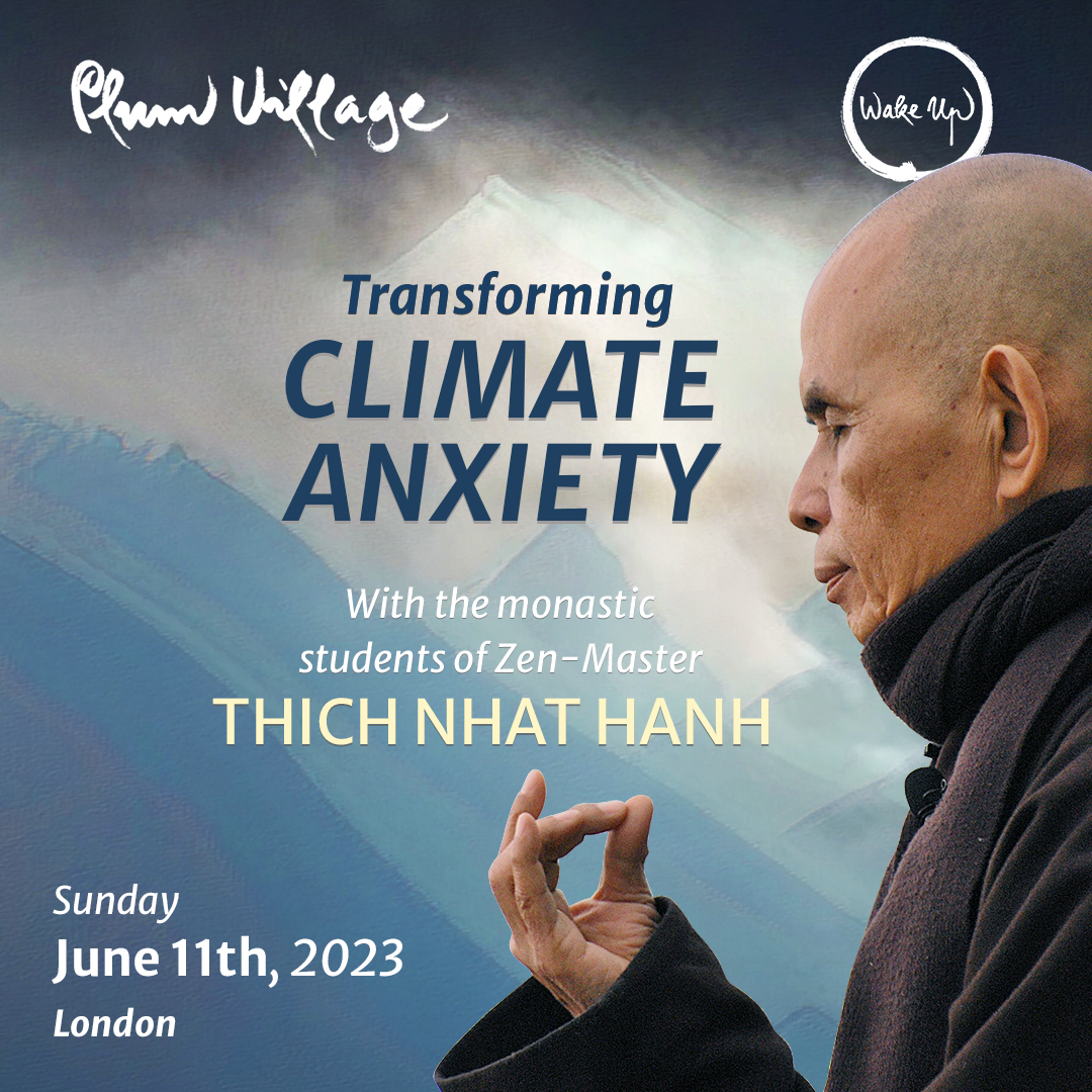 Instagram-feed_format-alternate_1-1_01